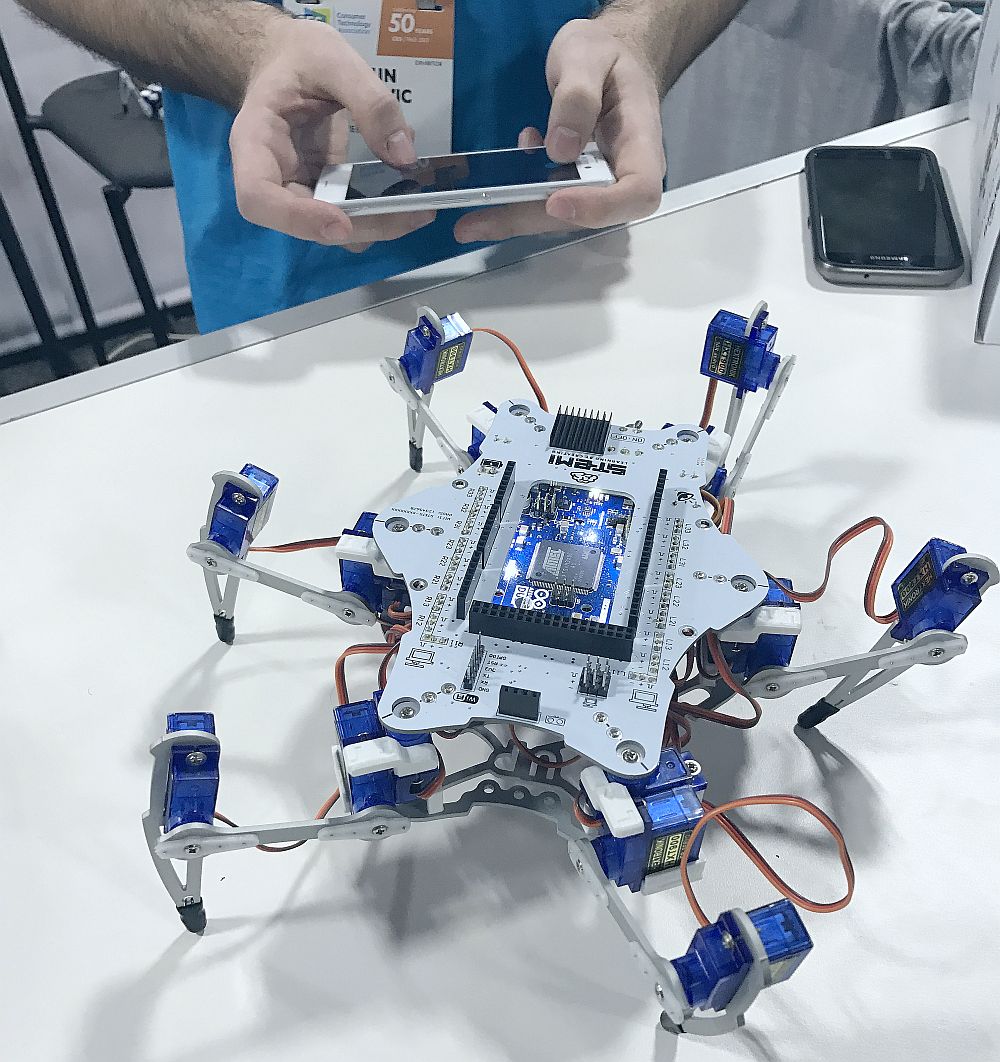 Robot pauk