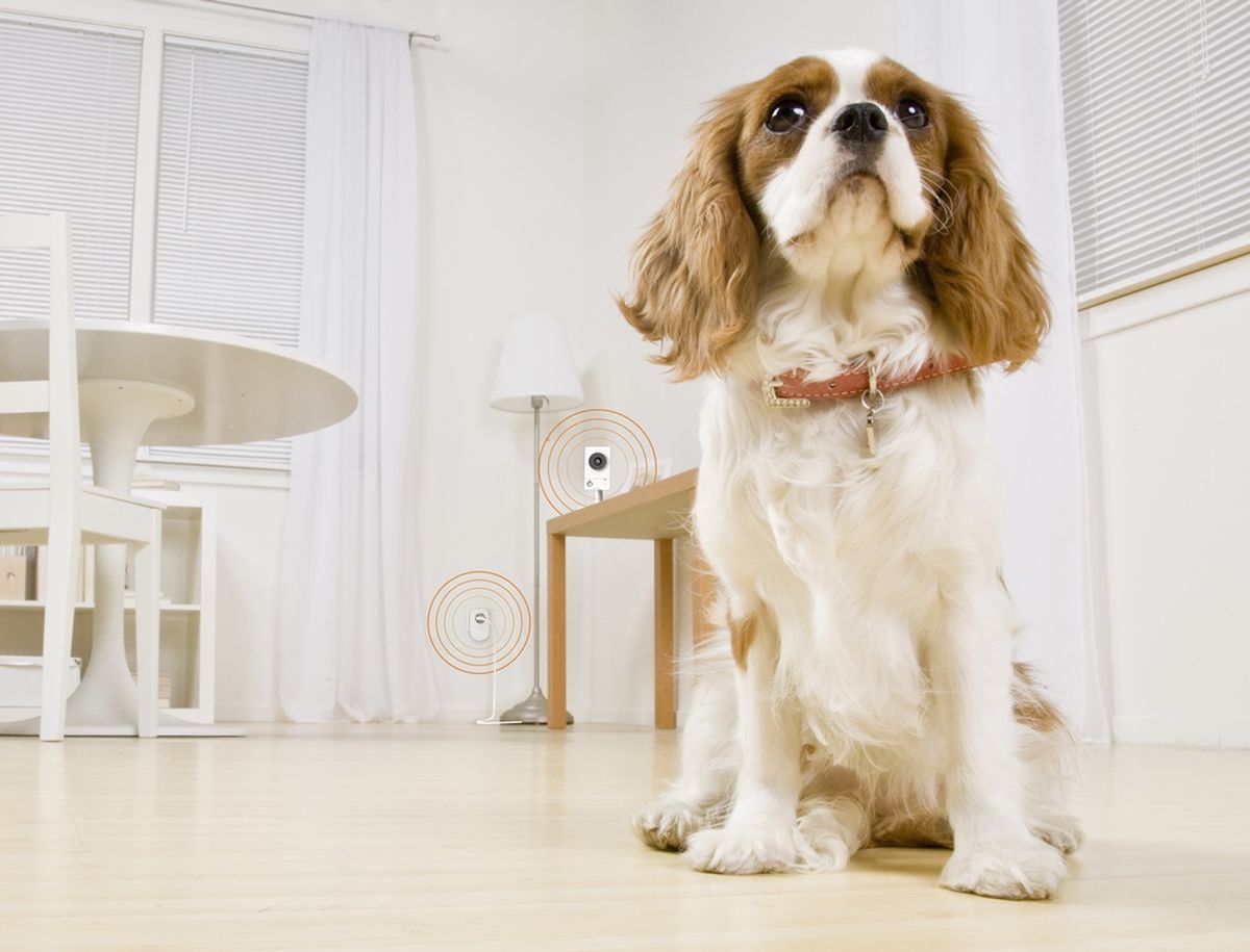 05 iskon smarthome senzori u prostoru 1