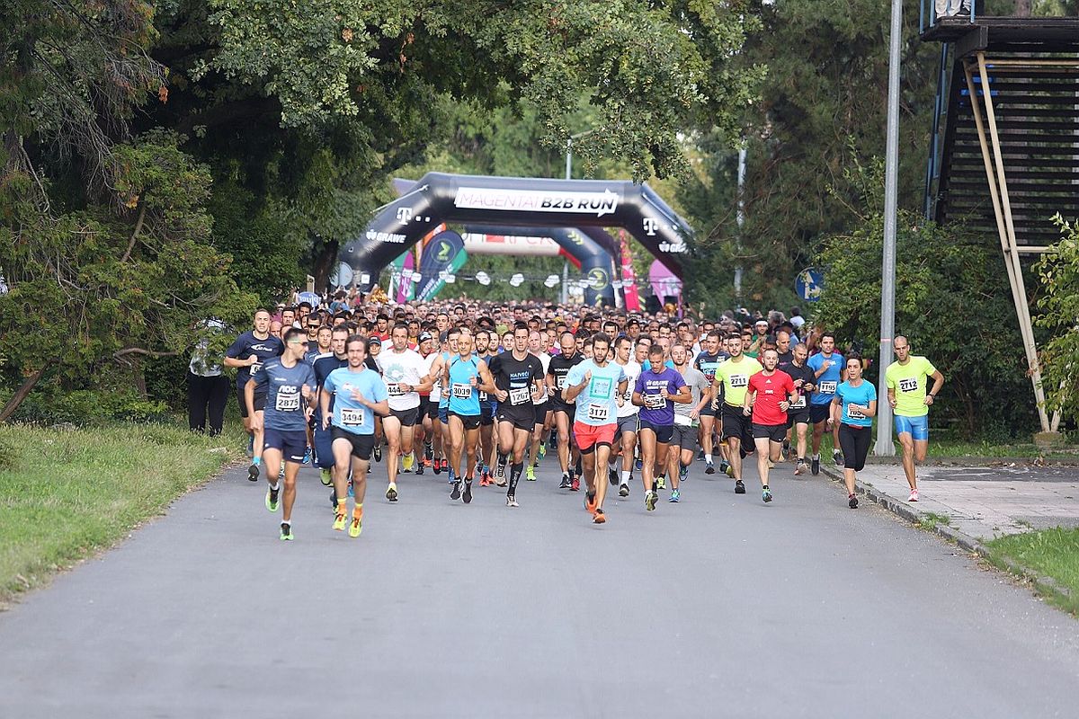 MAGENTA 1 B2B RUN 3