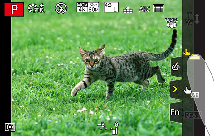 gh5s operability design img09