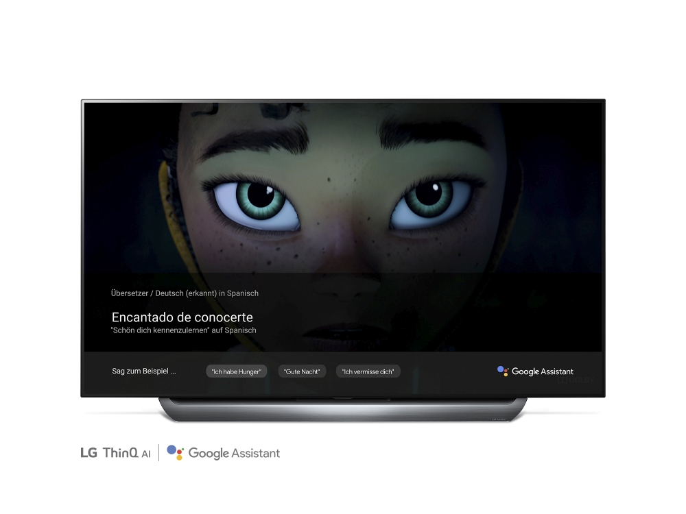 LG OLED TV Google Translate