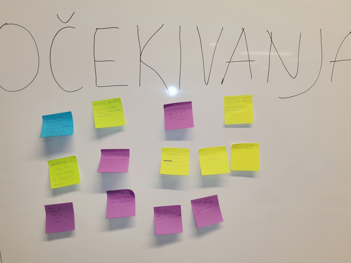 Poslovni analitičar