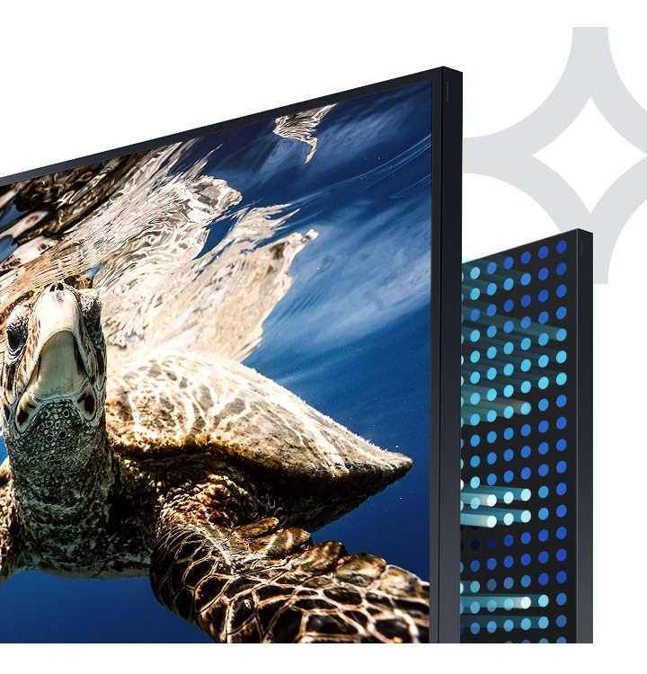 The Terrace - Direct Full Array