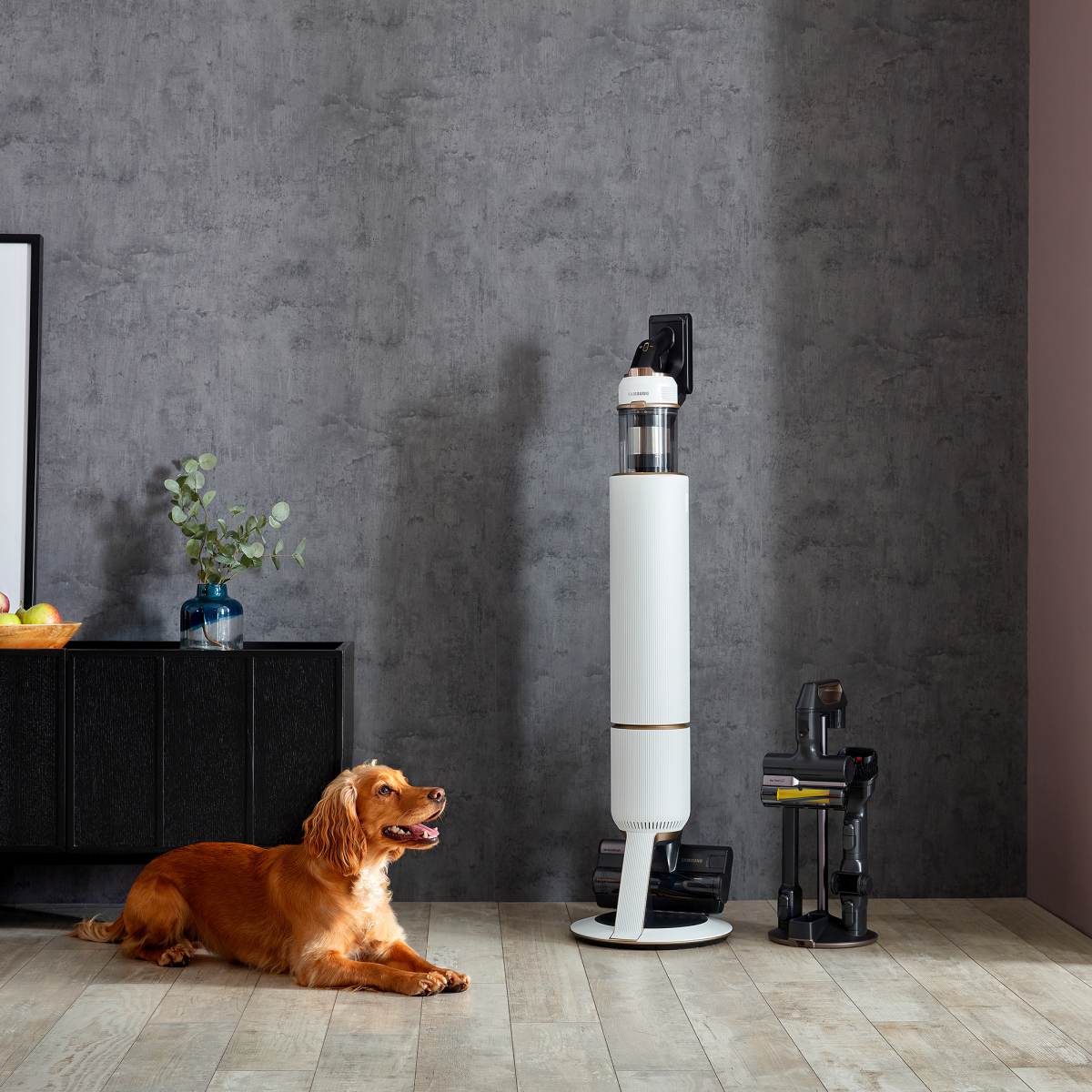 Samsung Jet_Pet_Lifestyle