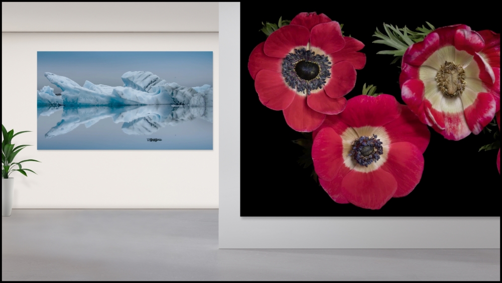 LG_BlackDove_Gallery-with-Jamie-Scott_Franck--Lefebrvre