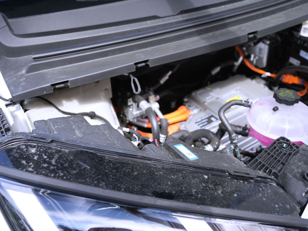 BYD Dolphin Surf - motor