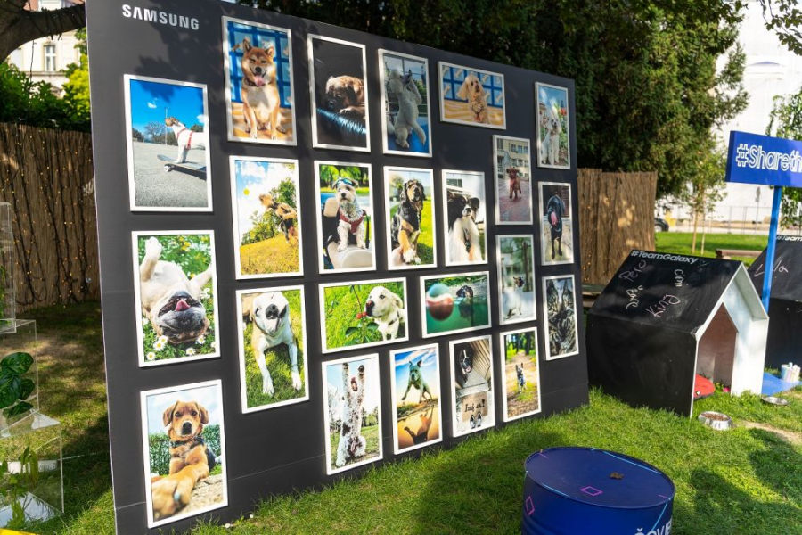 Samsung kreativni natječaj