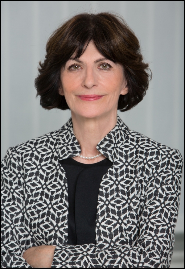 Poslovni rezultati Ericsson Nikola Tesla Grupa