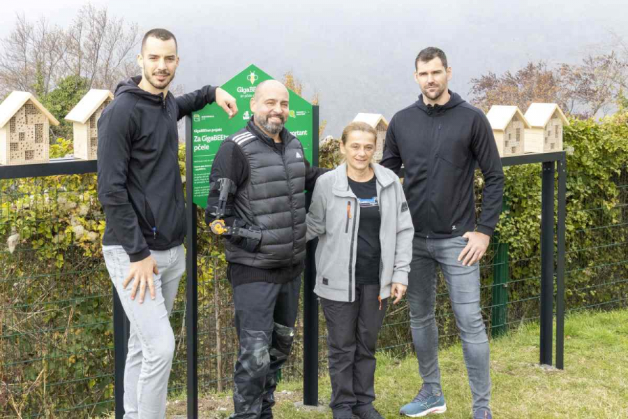 Park prirode Medvednica dobiva novi hotel &ndash; u njemu će umjesto ljudi boraviti pčele