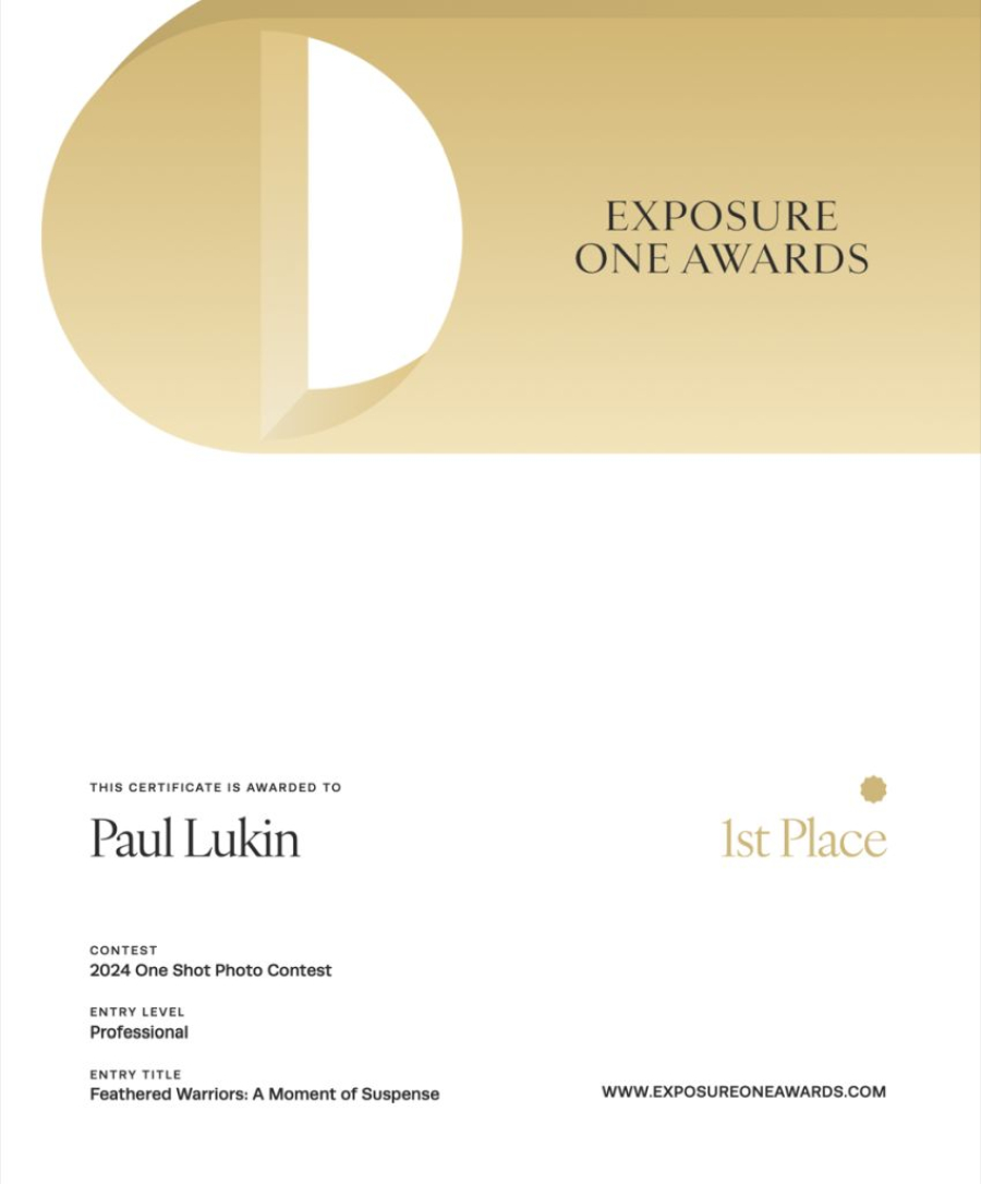 Exposure One Awards - Certifikat