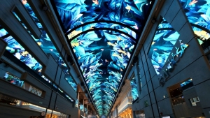 Tvrtke Samsung i MSC Cruises dobitnici glavne nagrade za najbolji LED projekt u industriji